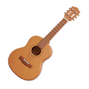 Acústica / Folk
